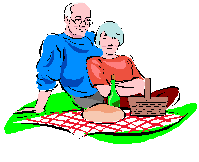 Carton old couple picnic